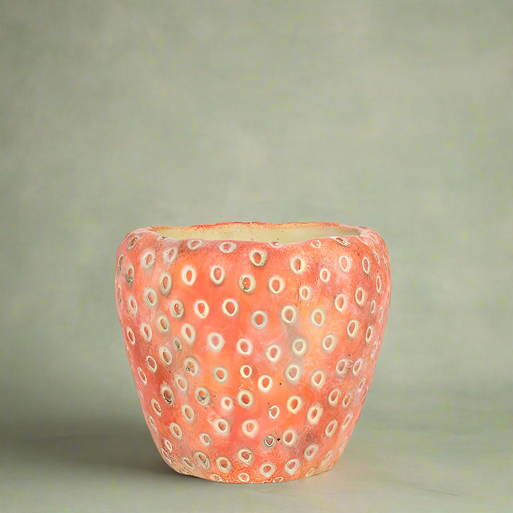 Strawberry Planter
