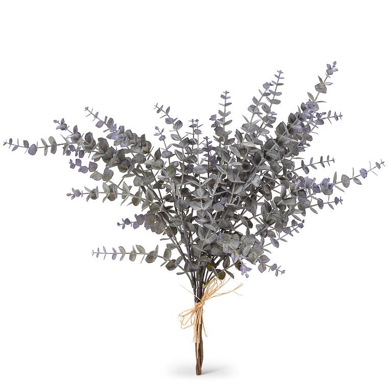 Eucalyptus bunch