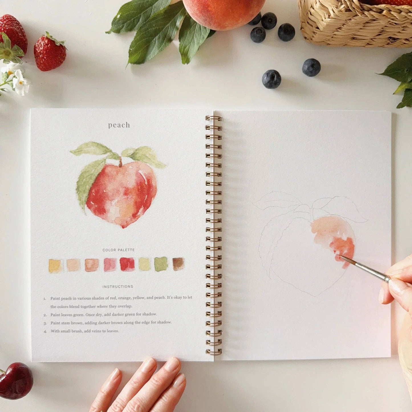 Fruit watercolour workbook