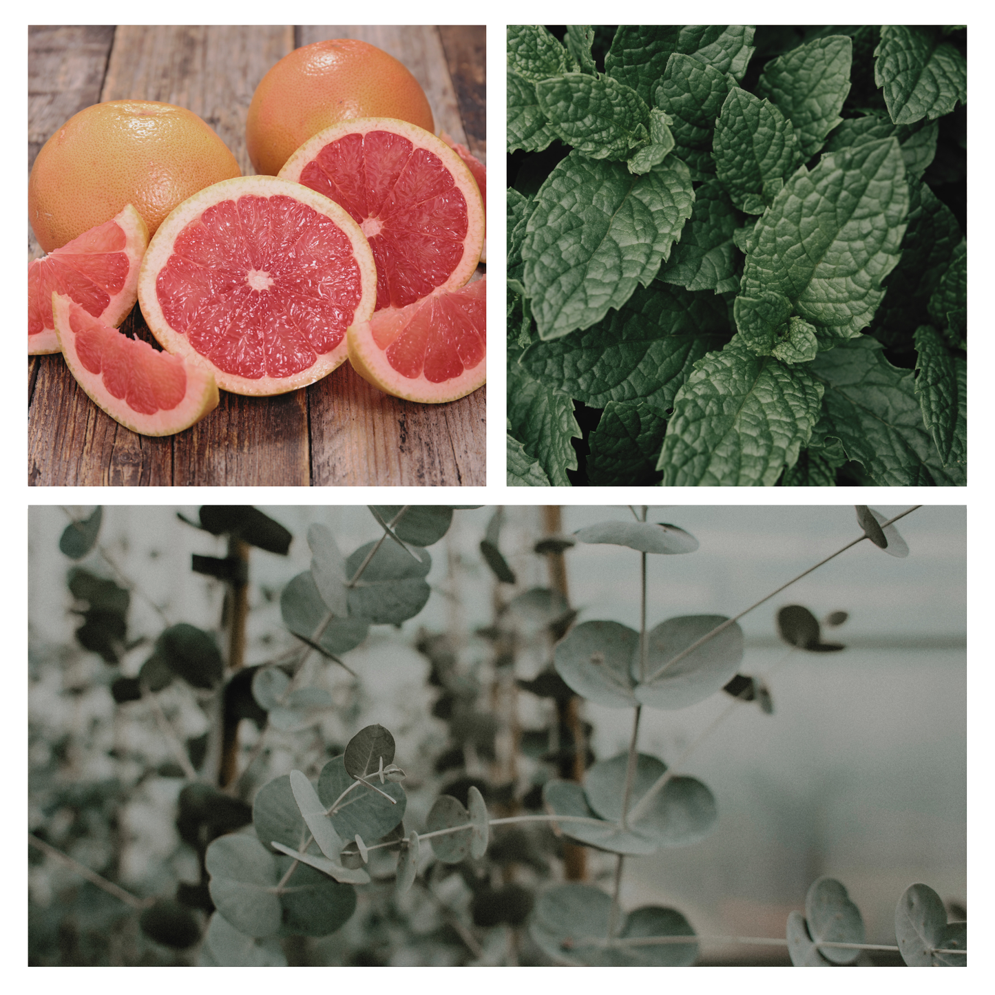 Be Revived Simmer Pot Mix, Stovetop Potpourri