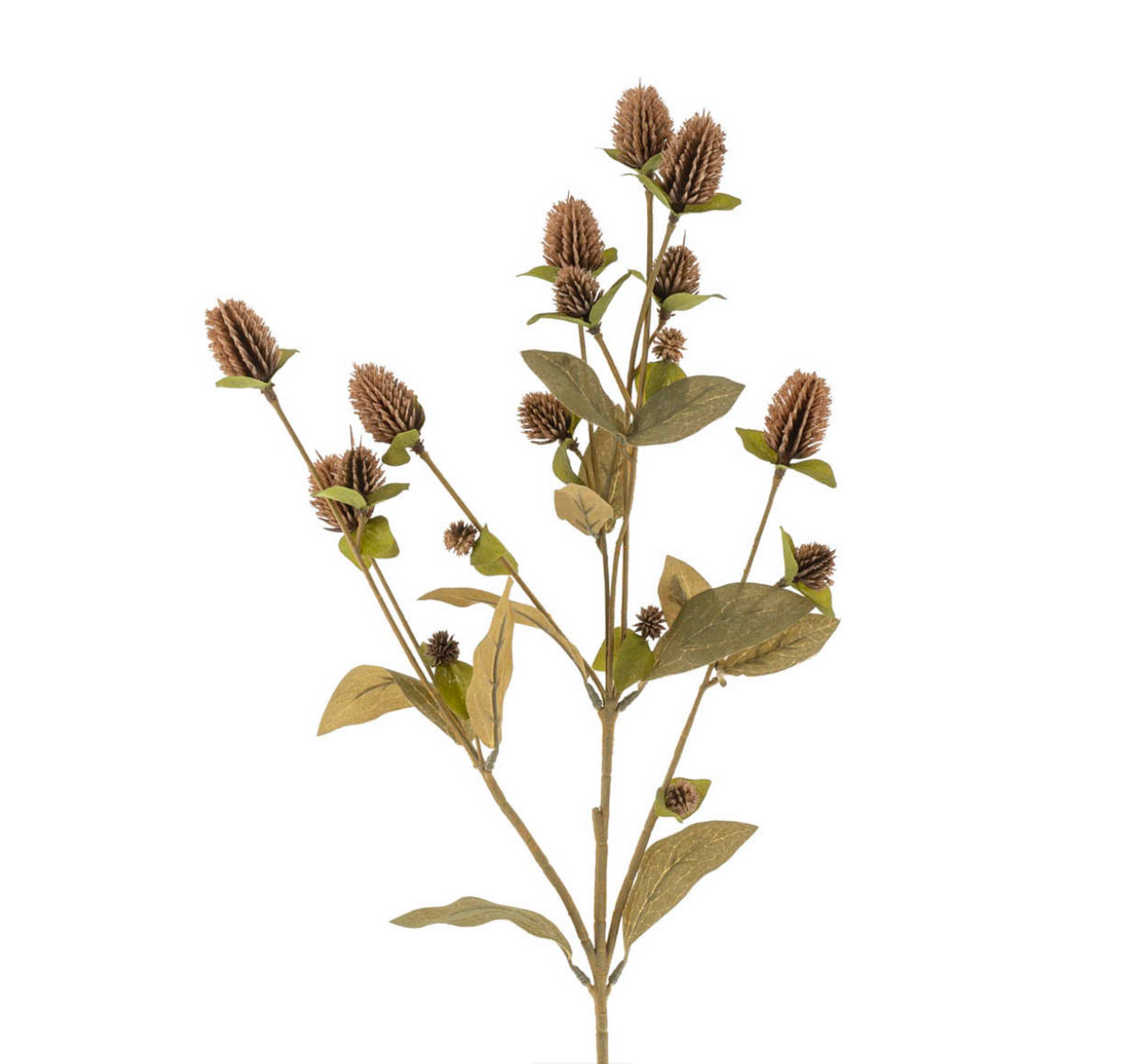 Globe Amaranth Spray