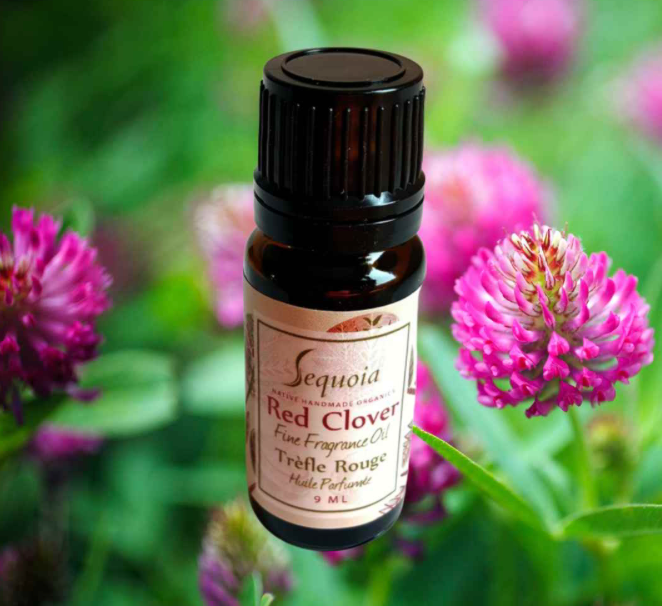 Sequoia Red Clover Fragrance Oil