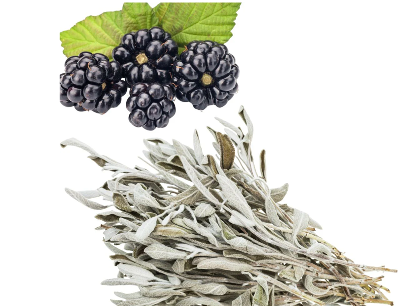 Sequoia Black Berry Sage Fragrance Oil