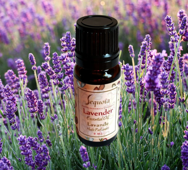 Sequoia Lavender Essential Oil