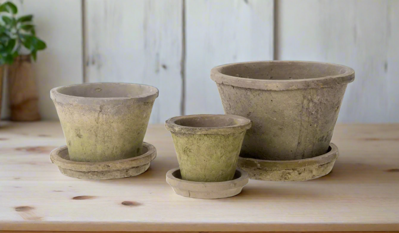 Aged Clay Cactus Pot + Saucer Antique Blackstone