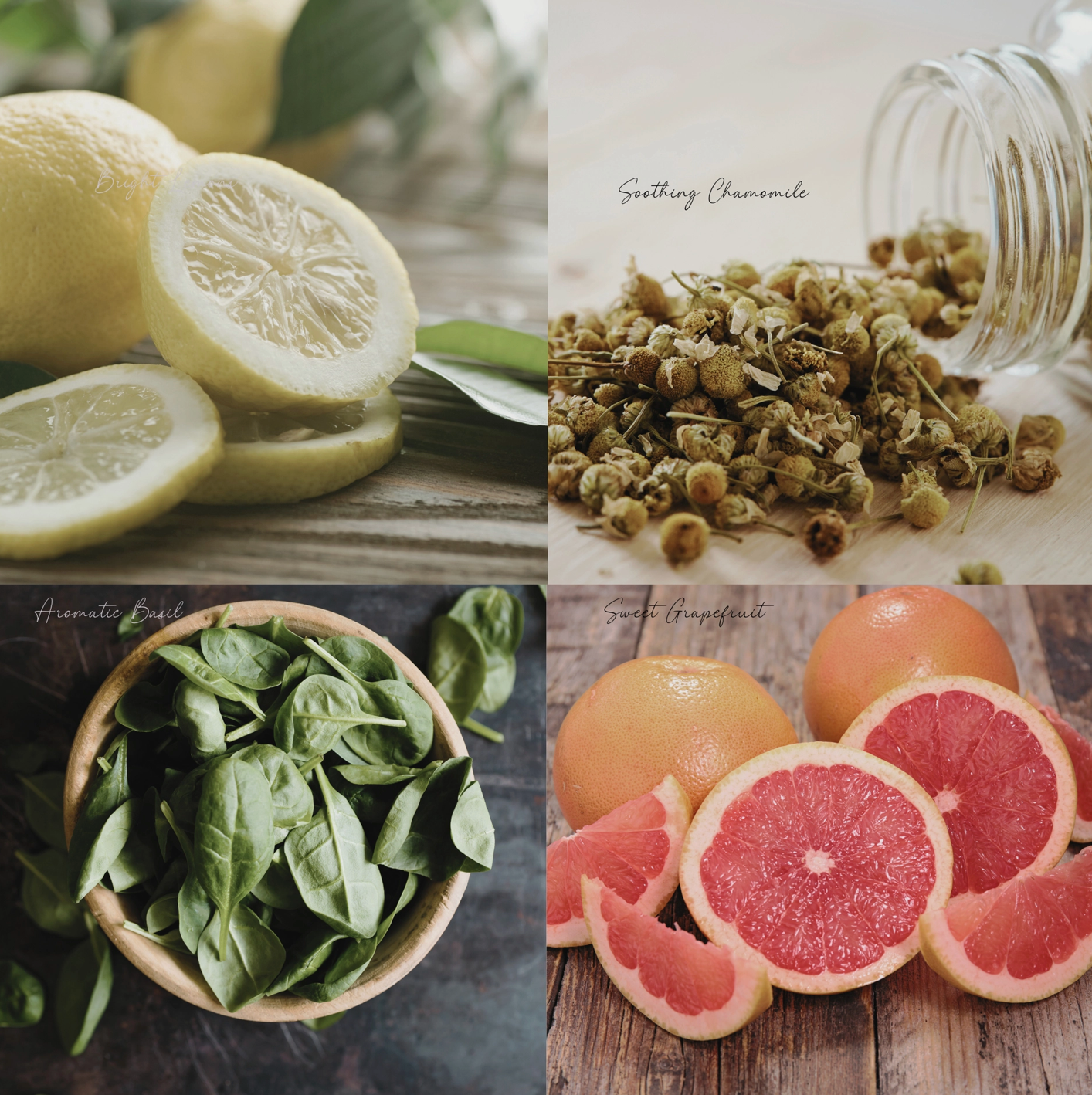 Be Golden Simmer Mix, Stovetop Potpourri