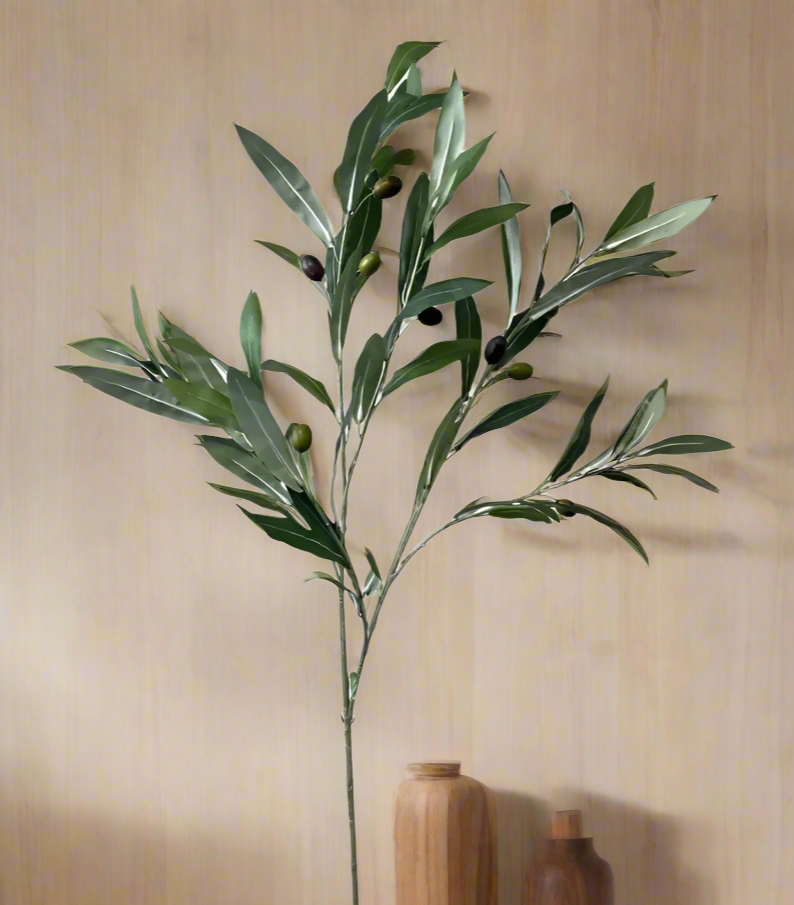 Olive Leaf with olives 50" Spray