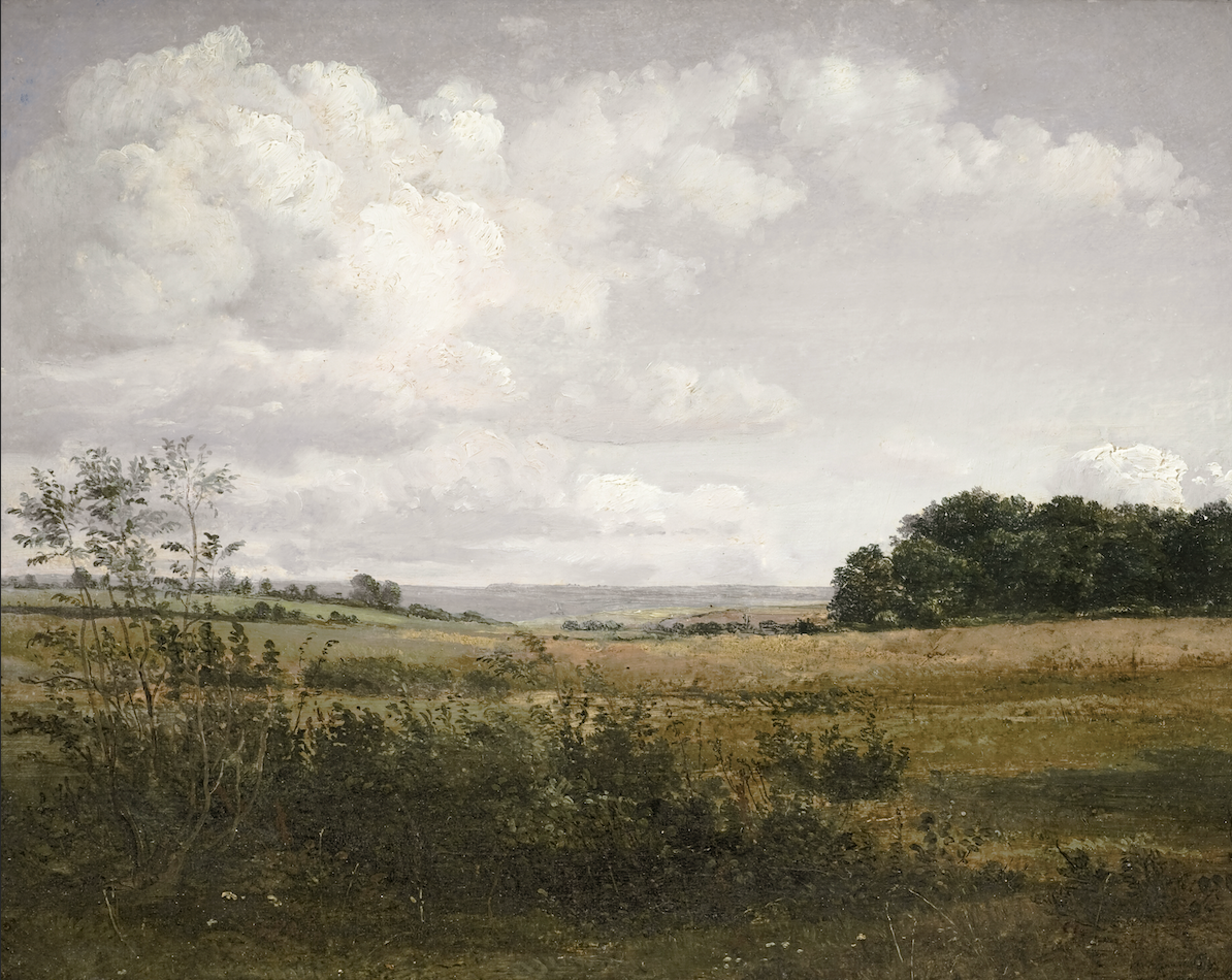 Still Field