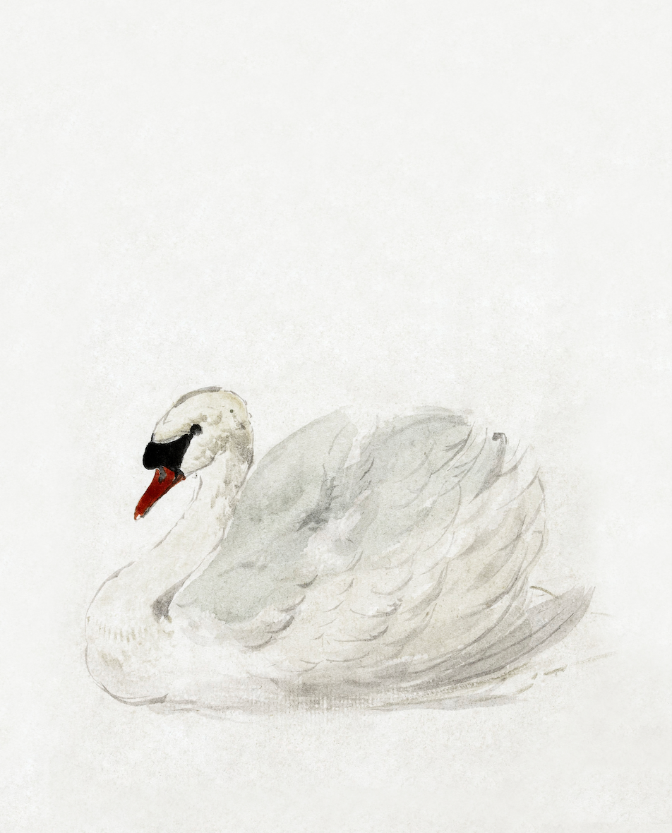 Whispers on the water