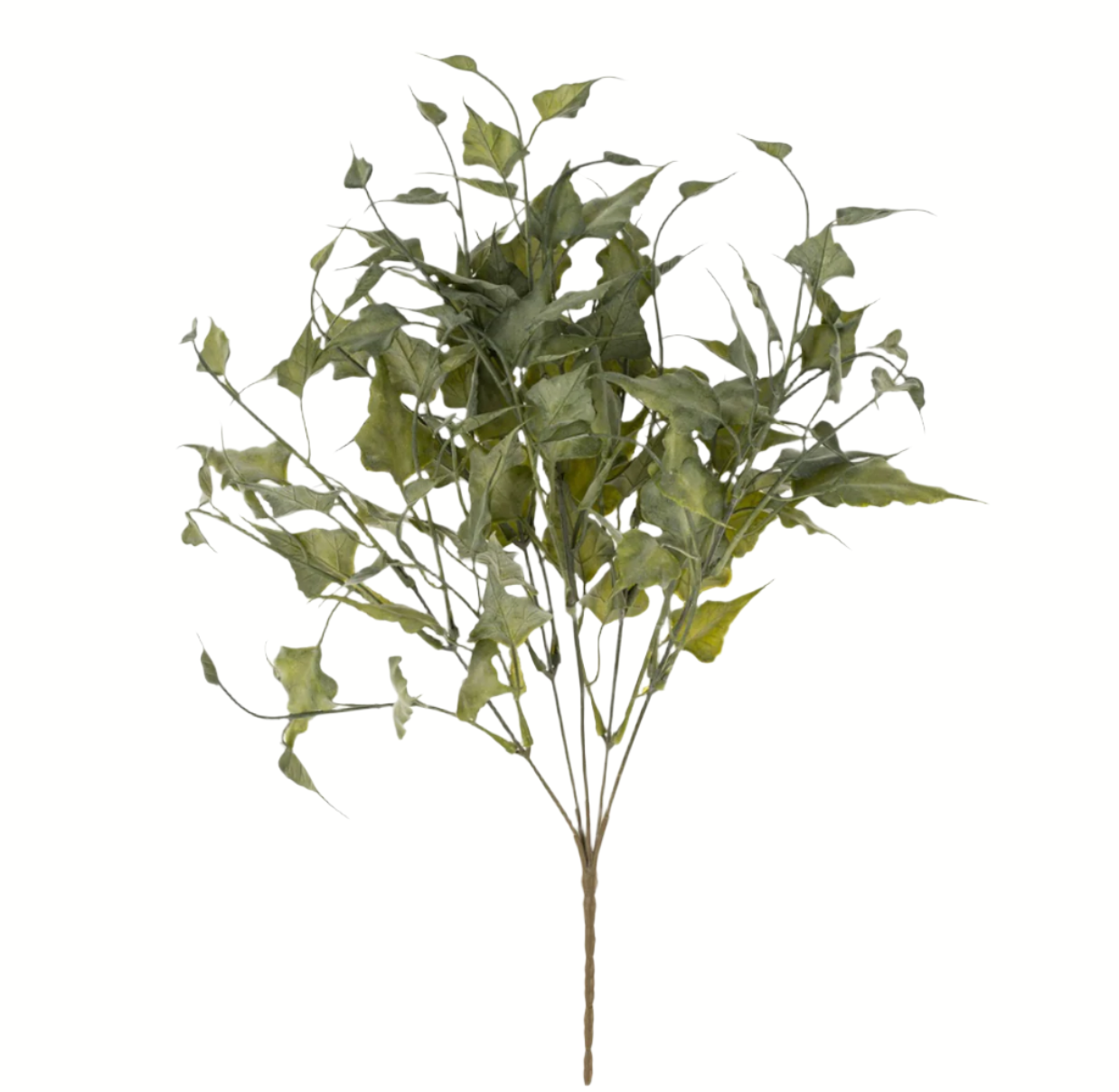 Ivy Spray