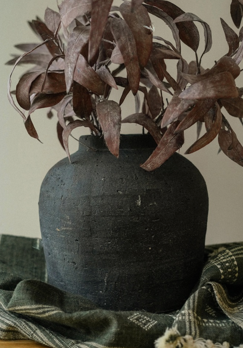 Dried Eucalyptus Stem