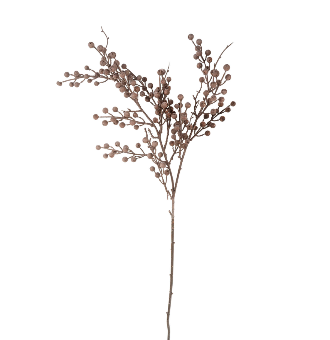 Berry Branch