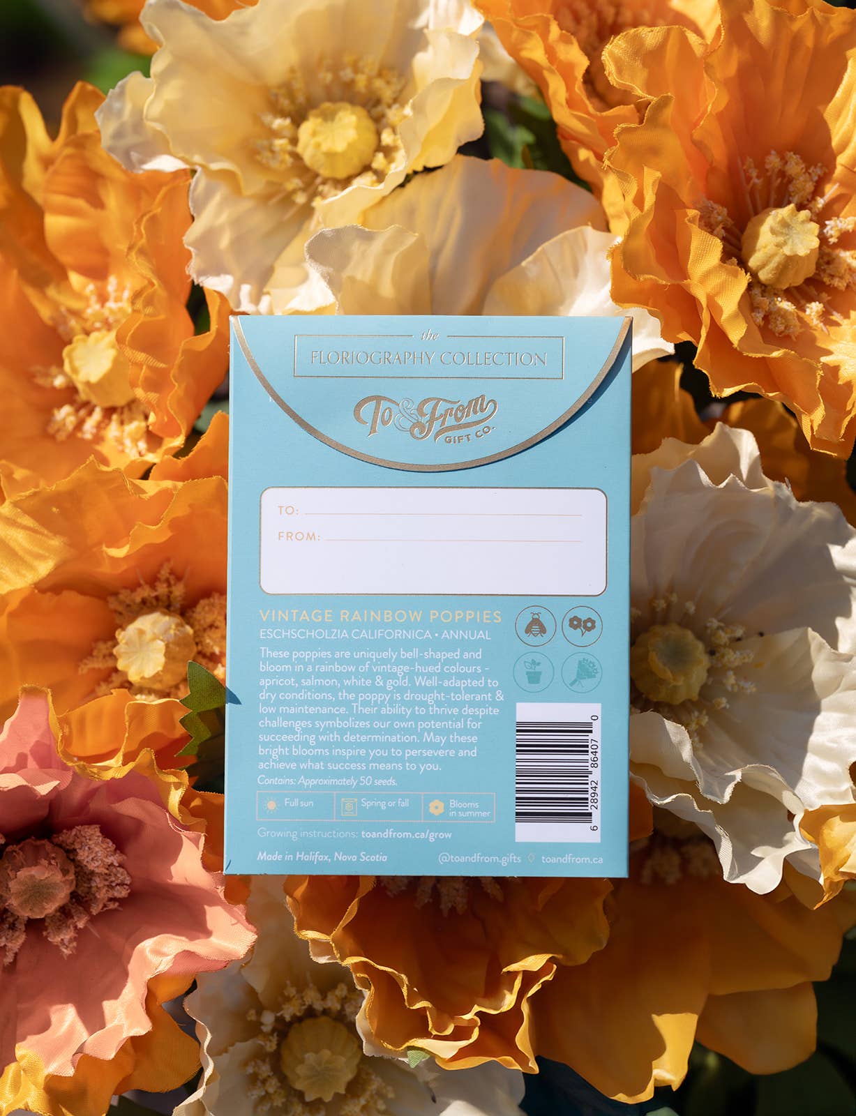 Vintage Rainbow Poppies (Success) - Floriography Seed Packet