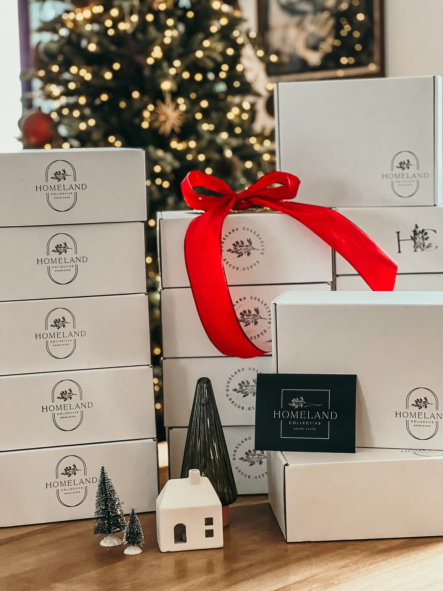 WEAR ARE WE X HOMELAND HOLIDAY GIFT BOXES