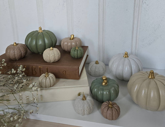 Gathered Heirloom Pumpkin Collection