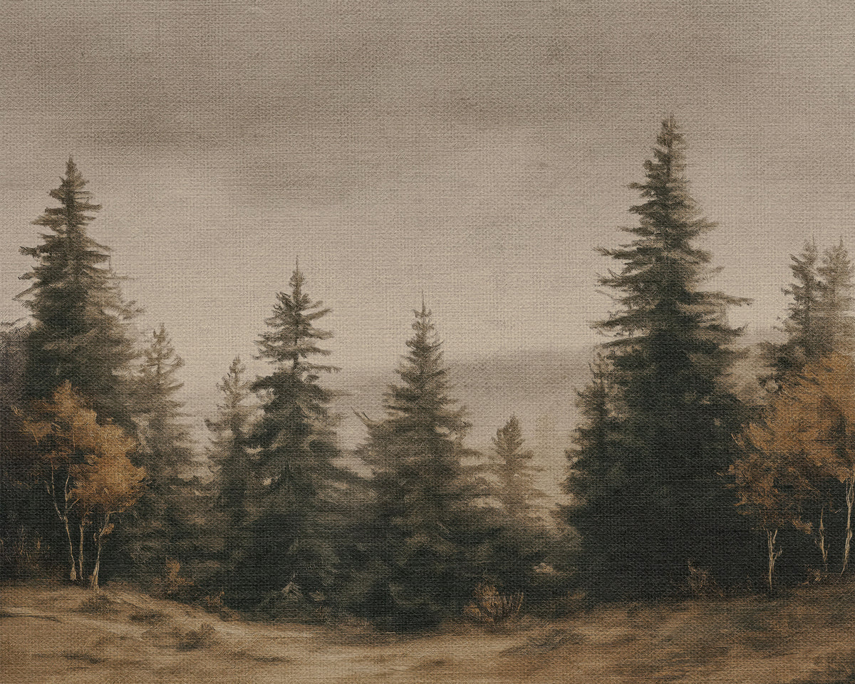 Evergreen Forest
