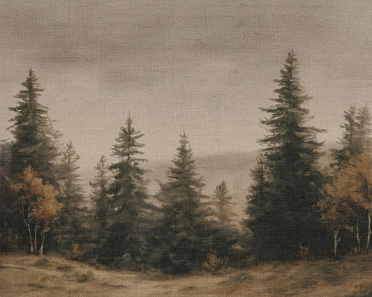 Evergreen Forest