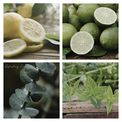 Be Lush Simmer Pot Mix, Natural Mint Citrus Aroma