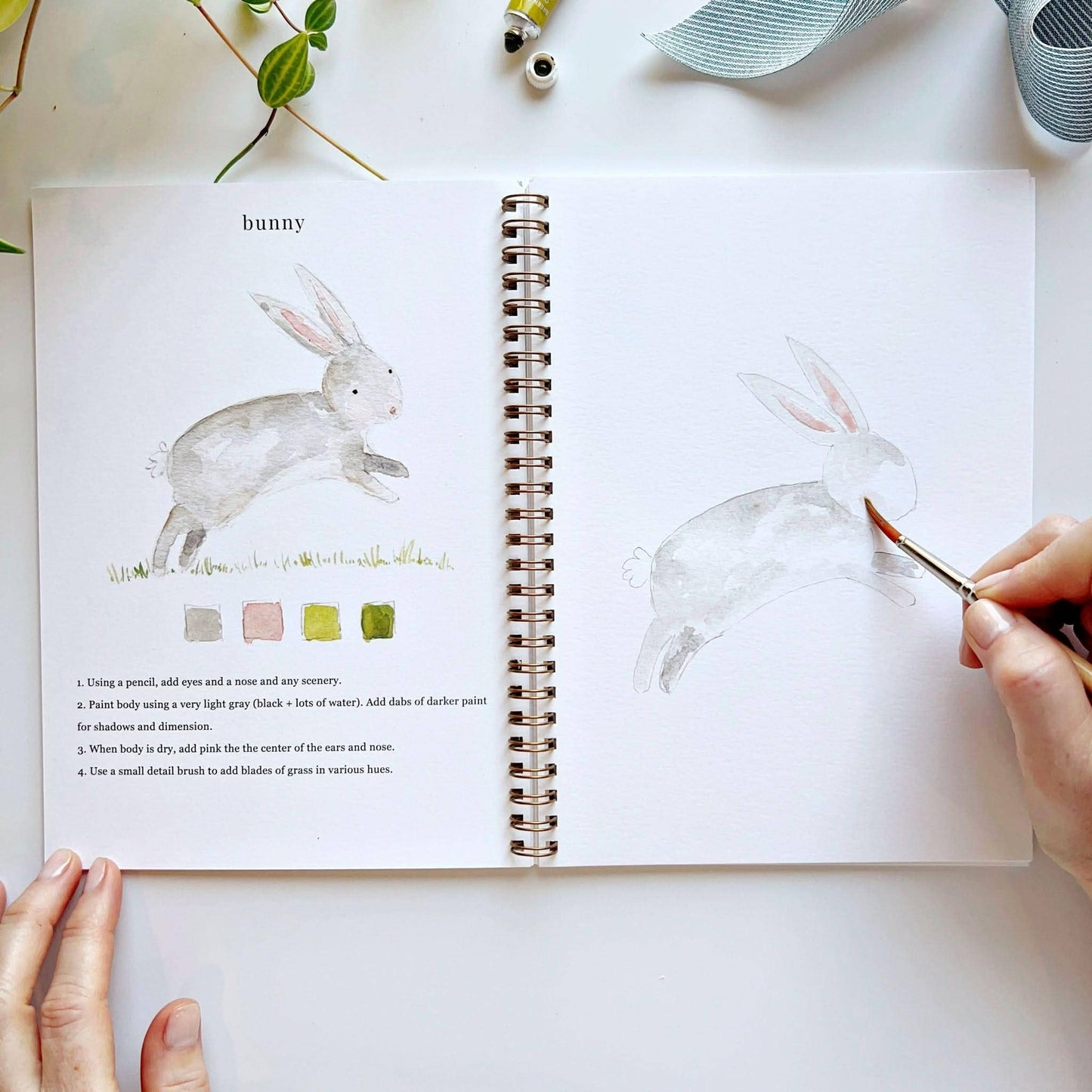 Animals watercolour workbook