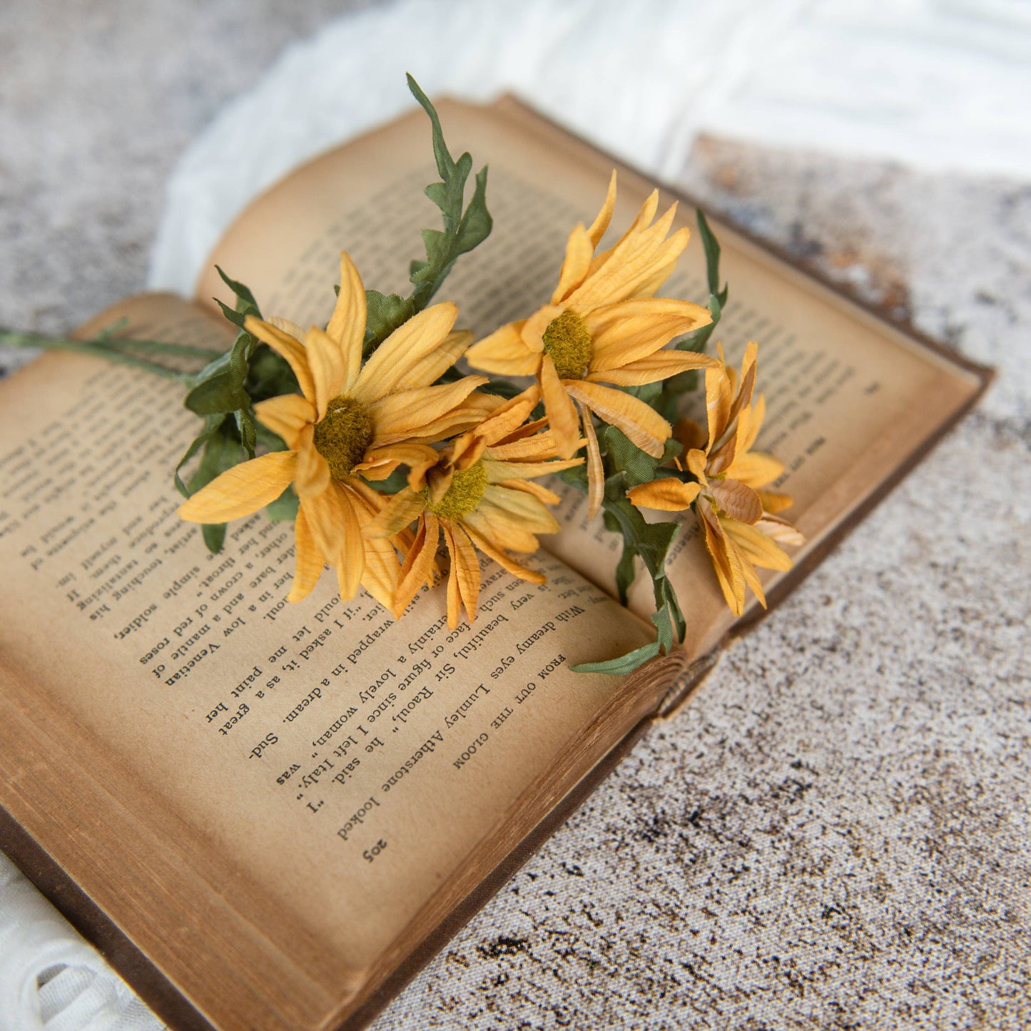 OLD GOLD DAISY PICK