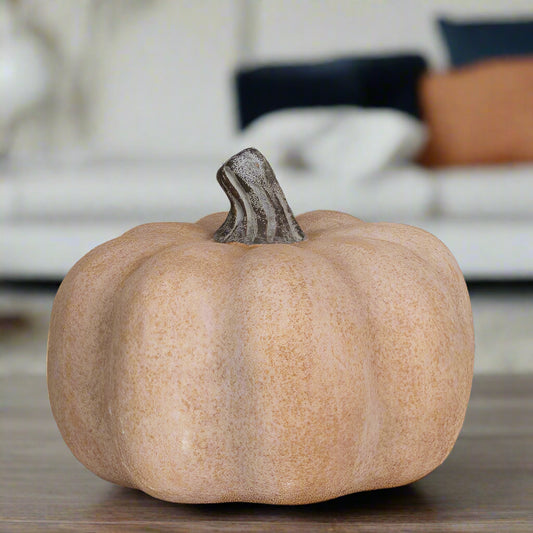 Small Squat Pumpkin