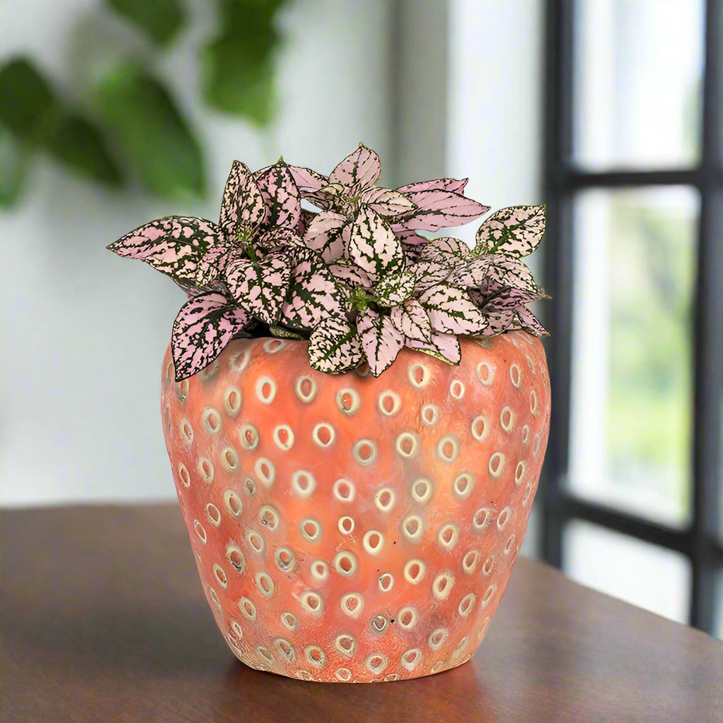 Strawberry Planter