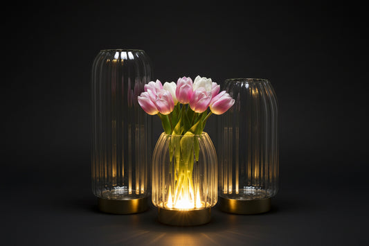 Eliza LED vase (3 sizes)