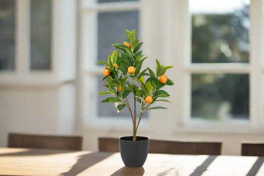 Mini Orange Tree-24"H