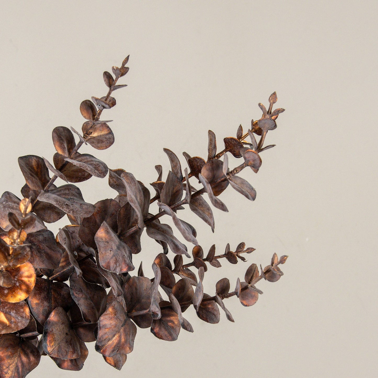 METALLIC BRONZE EUCALYPTUS BUSH