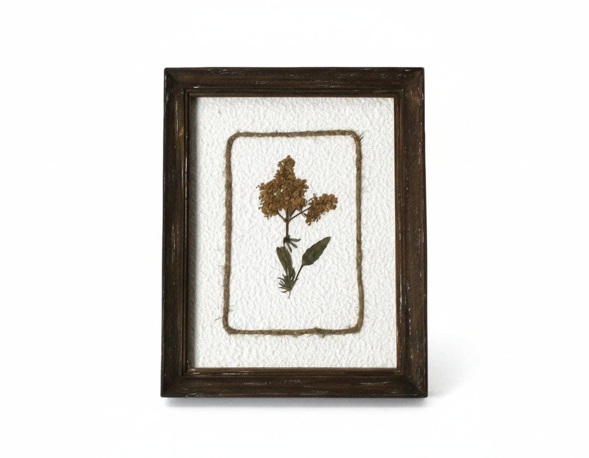 Framed Pressed Botanical Art