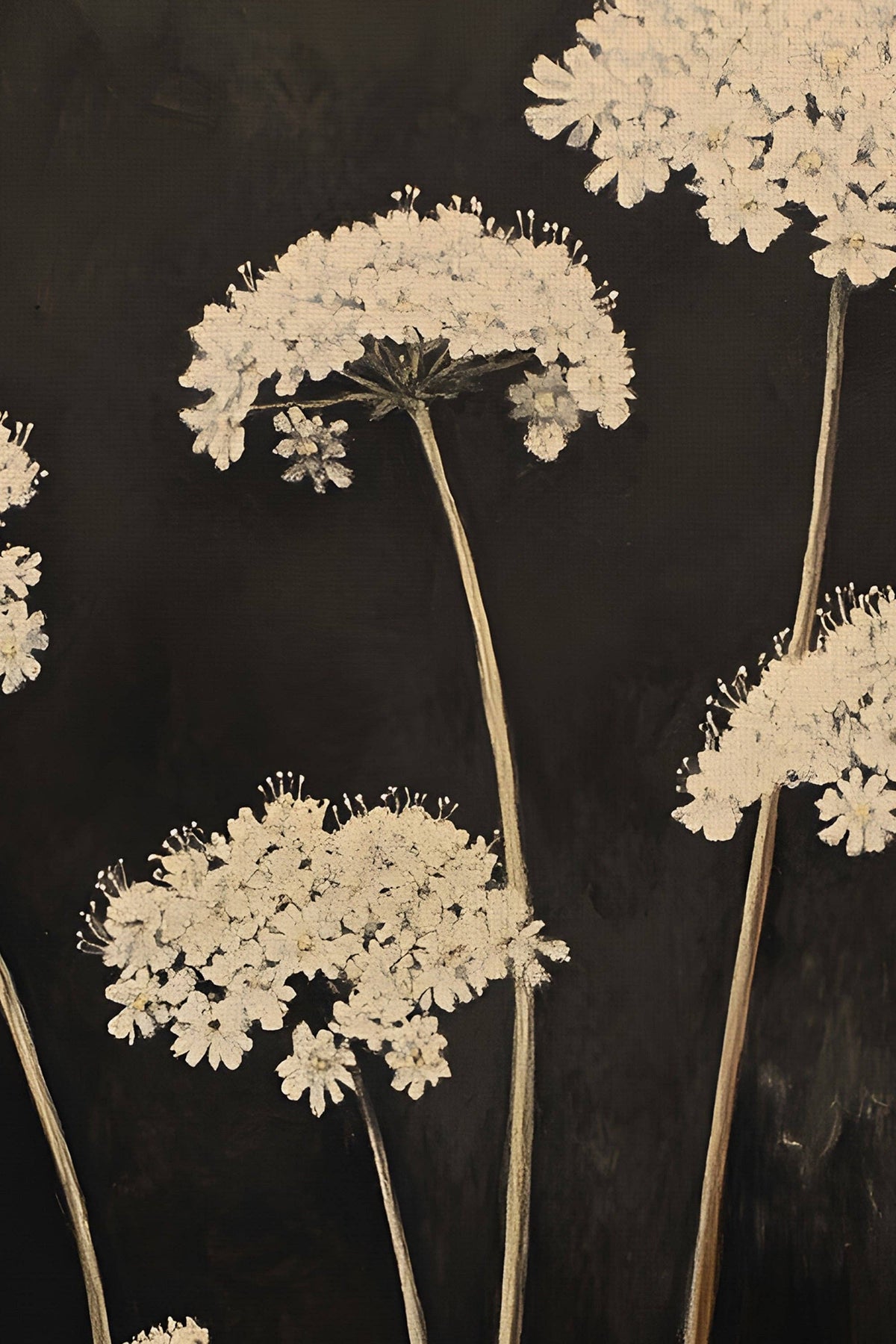 Midnight Blooms