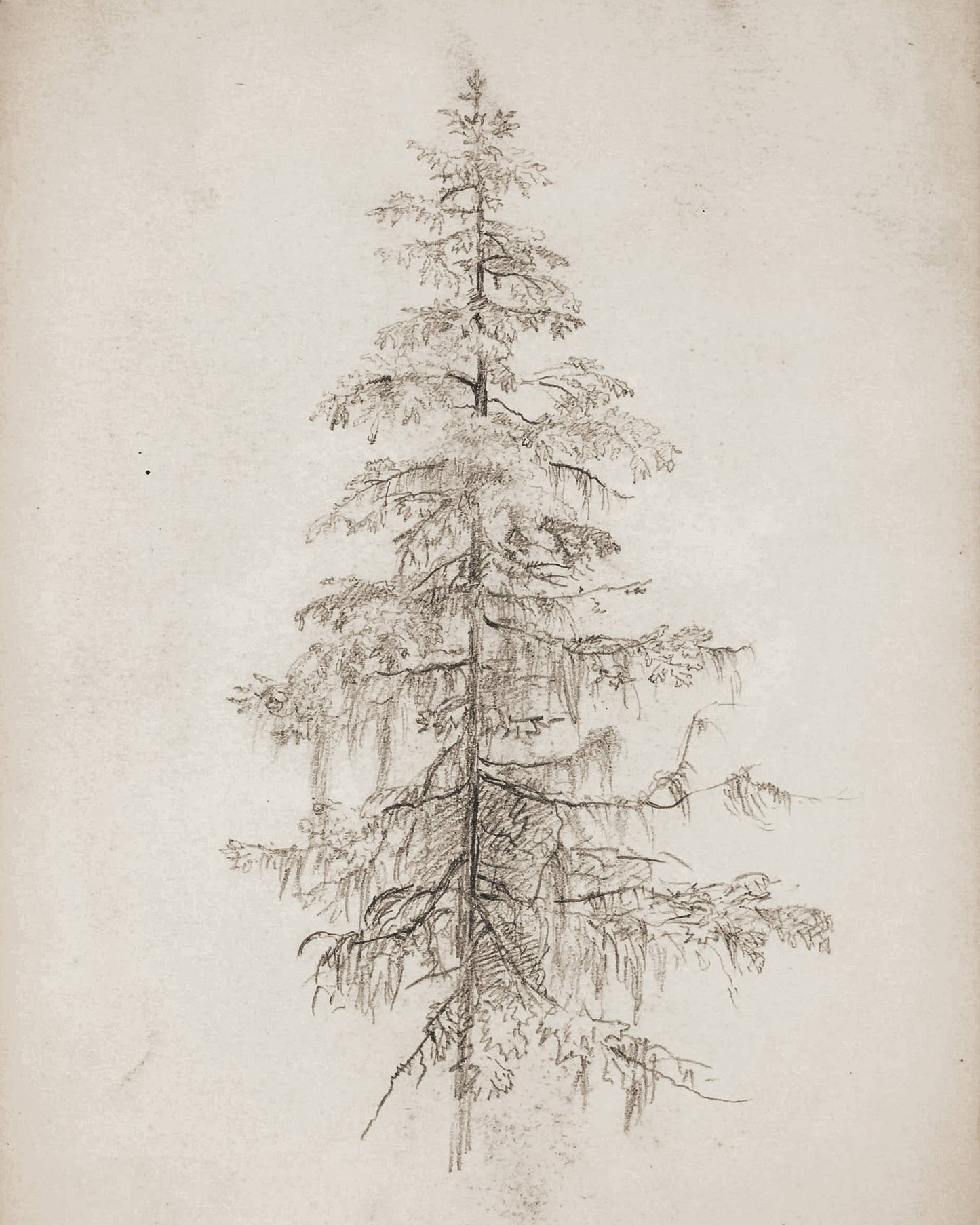 Tree Art Print 8x10in