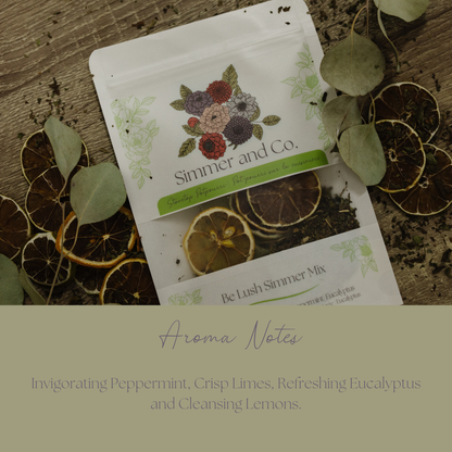 Be Lush Simmer Pot Mix, Natural Mint Citrus Aroma