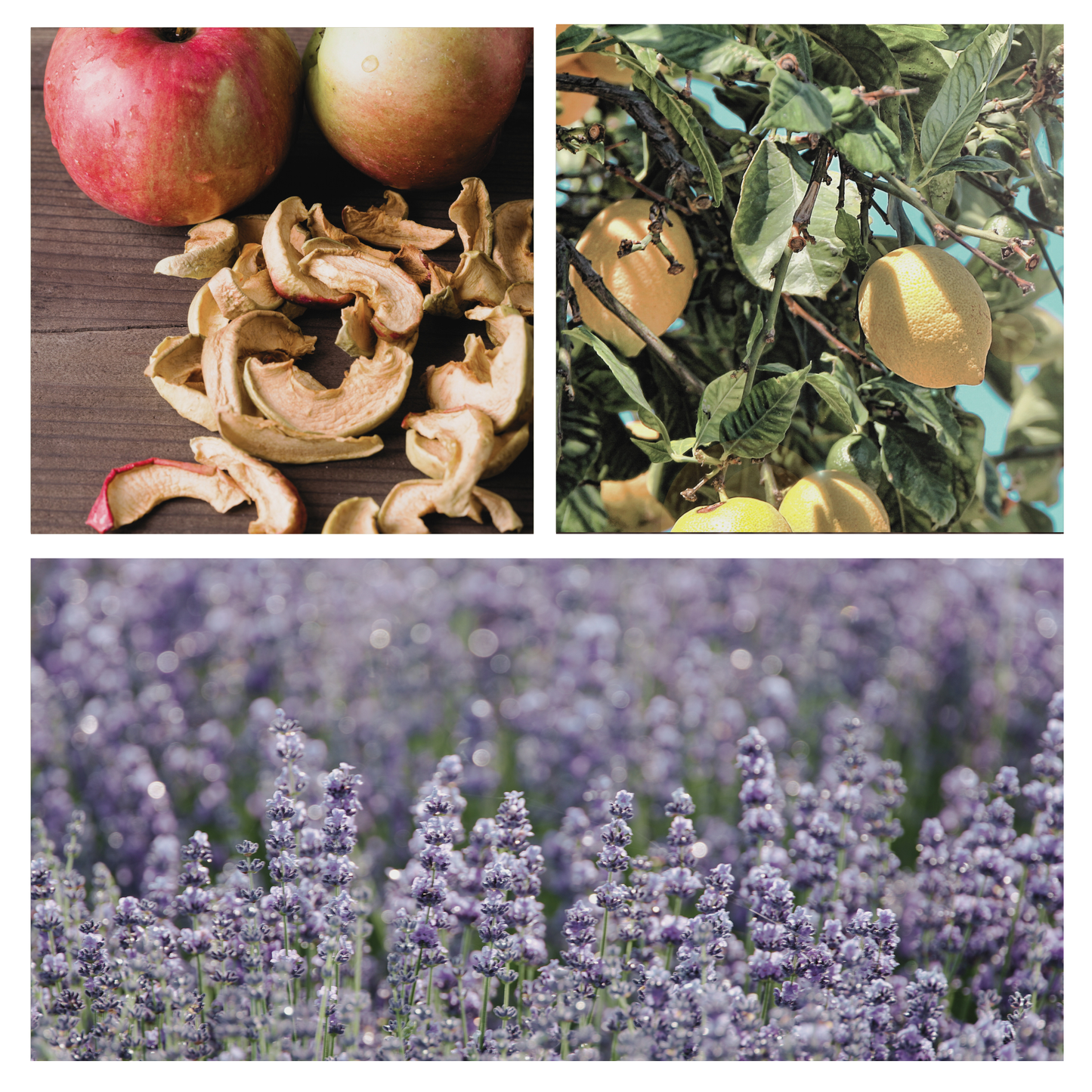 Be Enchanted Simmer Pot Mix, Natural Lavender Almond Aroma
