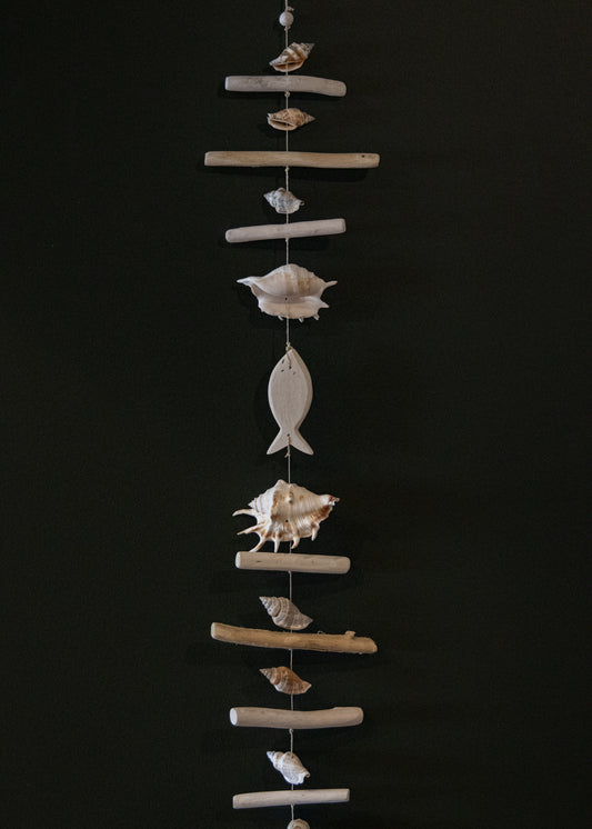 Long Shell + Driftwood