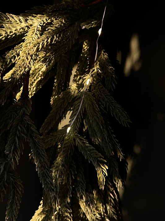 Warm white String Lights,w/Timer