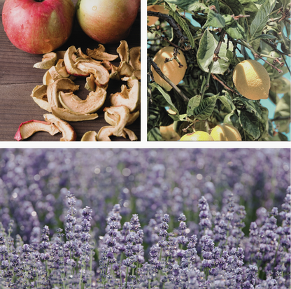 Be Enchanted Simmer Mix, Stovetop Potpourri