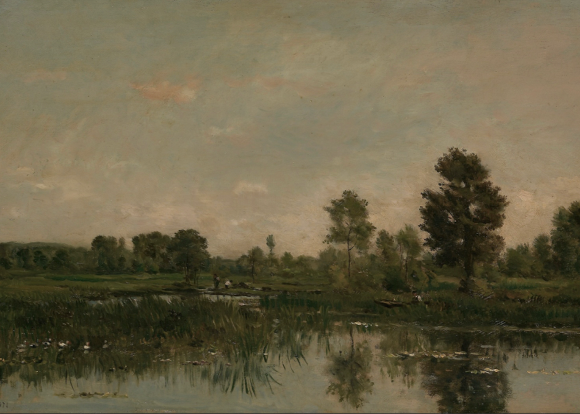 Meadow Light