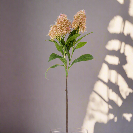 Lilac stem