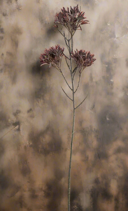 Wild Flower Spray