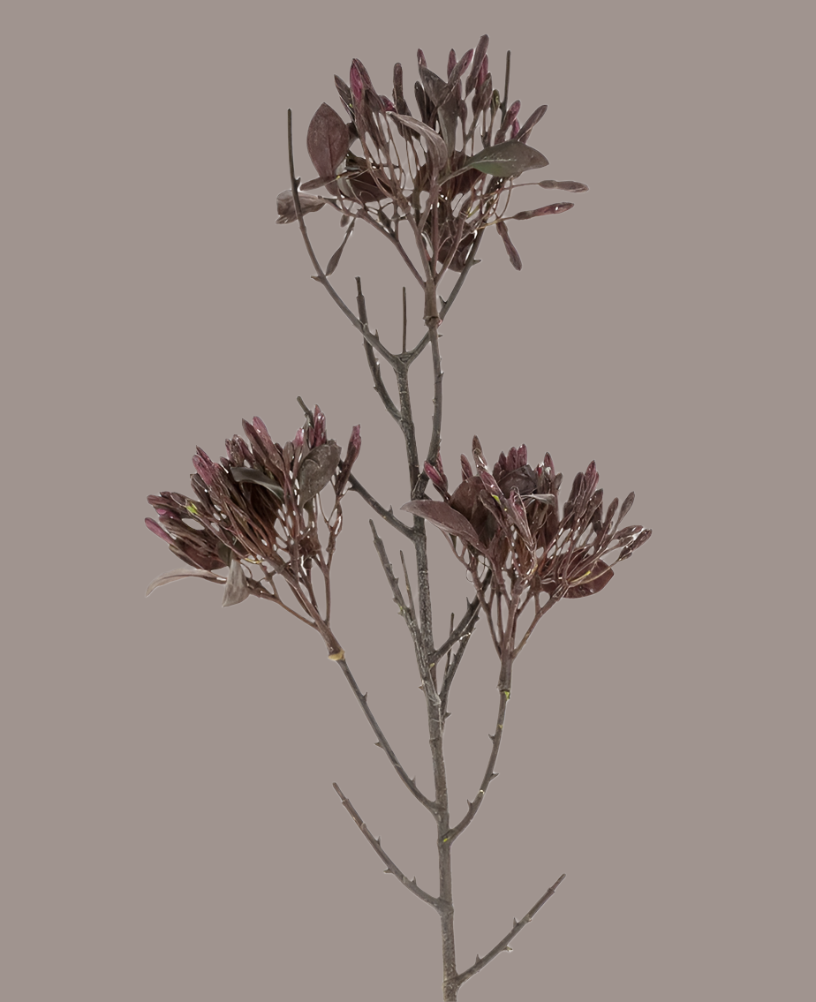 Wild Flower Spray
