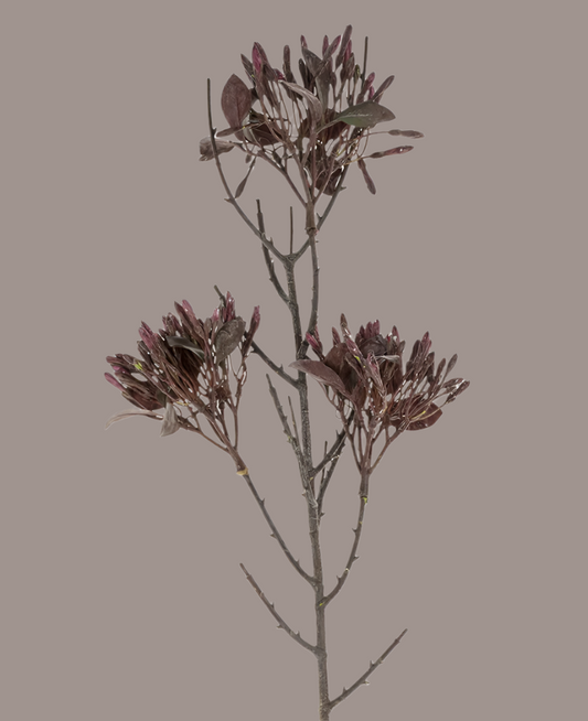 Wild Flower Spray