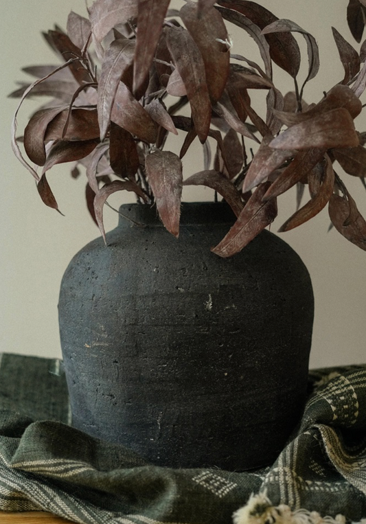 Dried Eucalyptus Stem