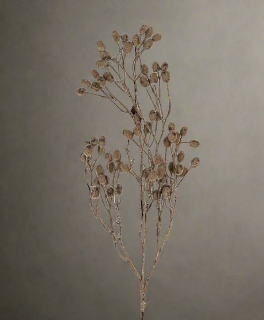 Dripping Berry Branch