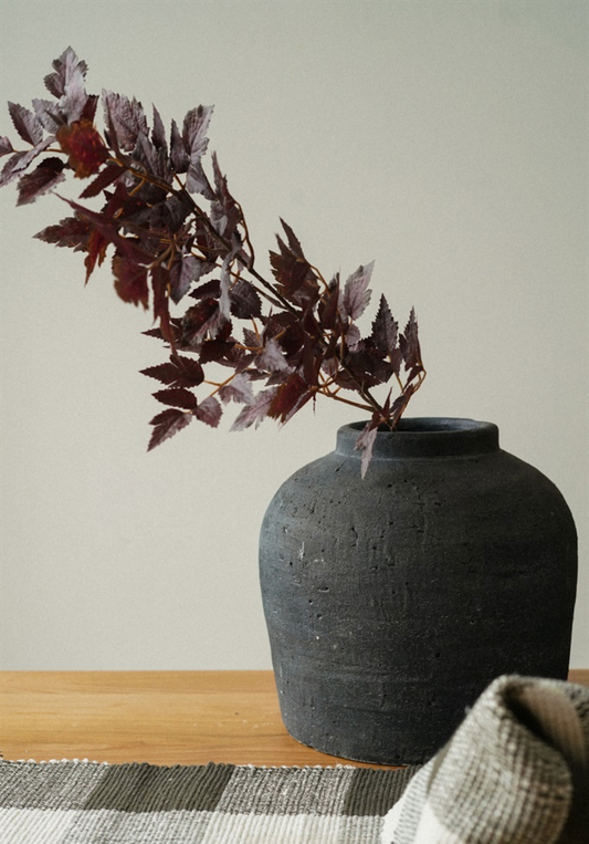 Plum Tree Branch