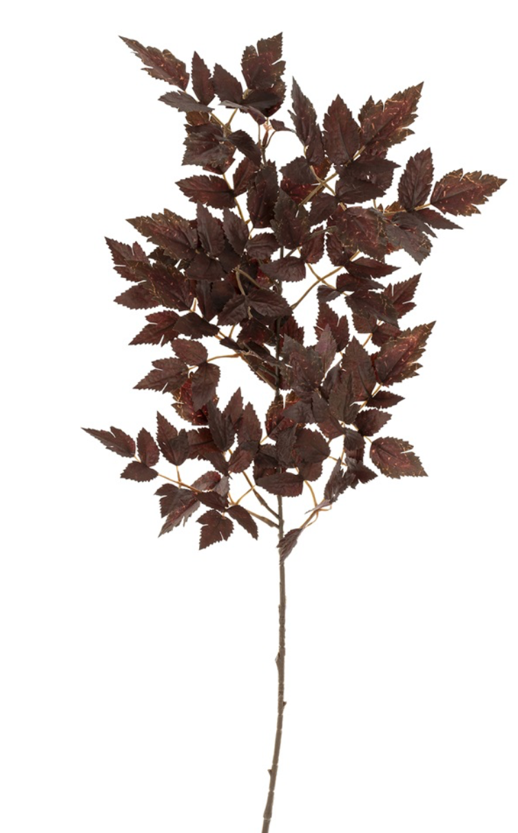 Plum Tree Branch