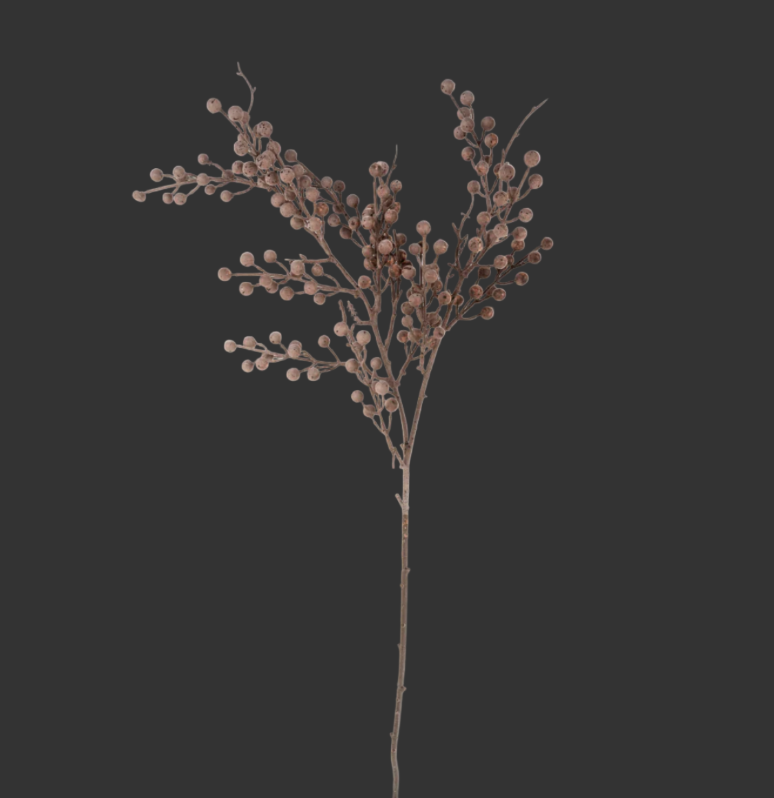 Berry Branch
