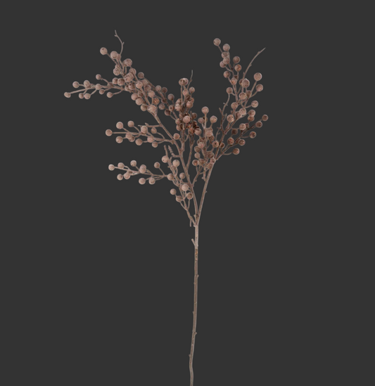Berry Branch