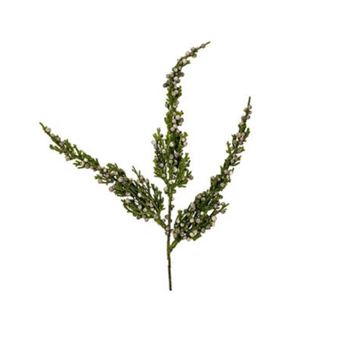 Juniper w/Berries Stem
