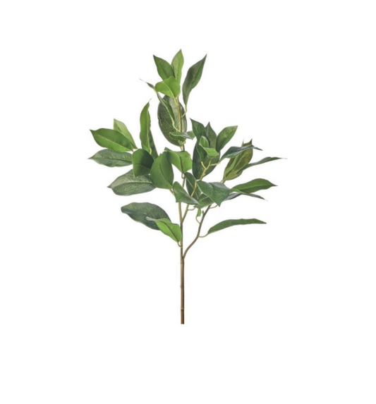 Lemon Leaf 27" Spray